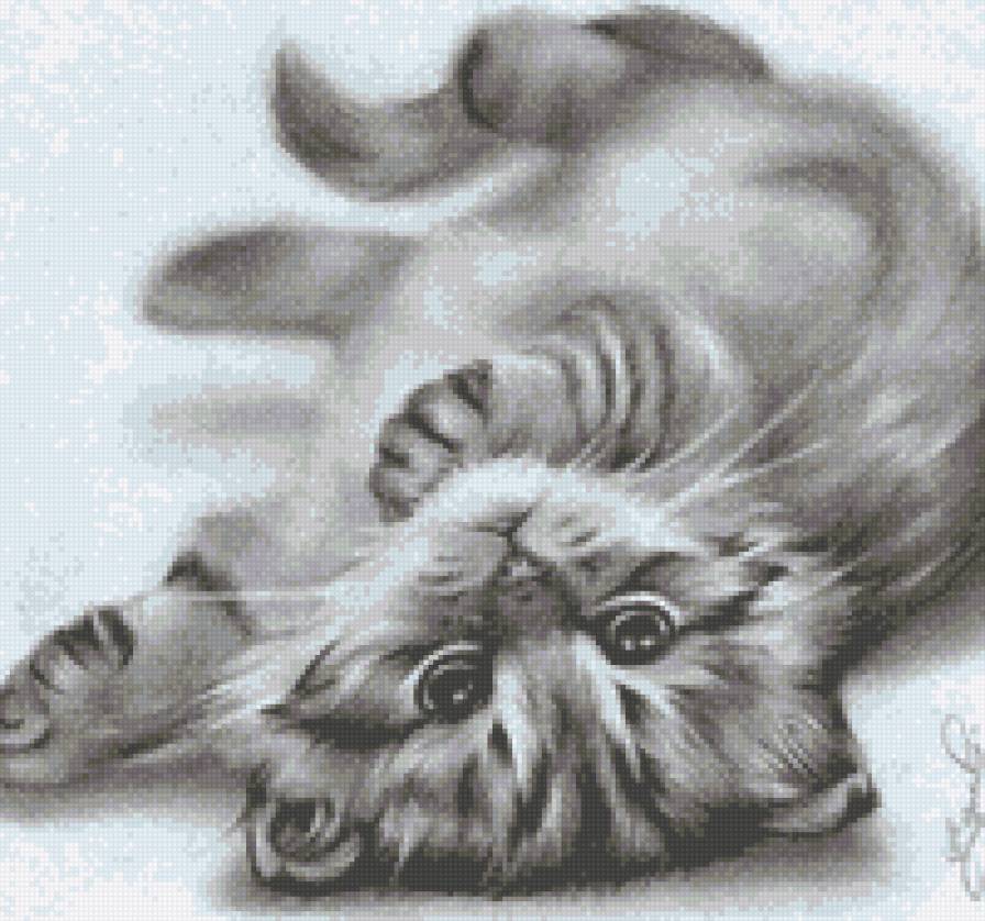 котя - дети, красота, животные, монохром, кот - предпросмотр