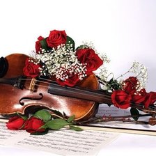 Схема вышивки «Скрипка»