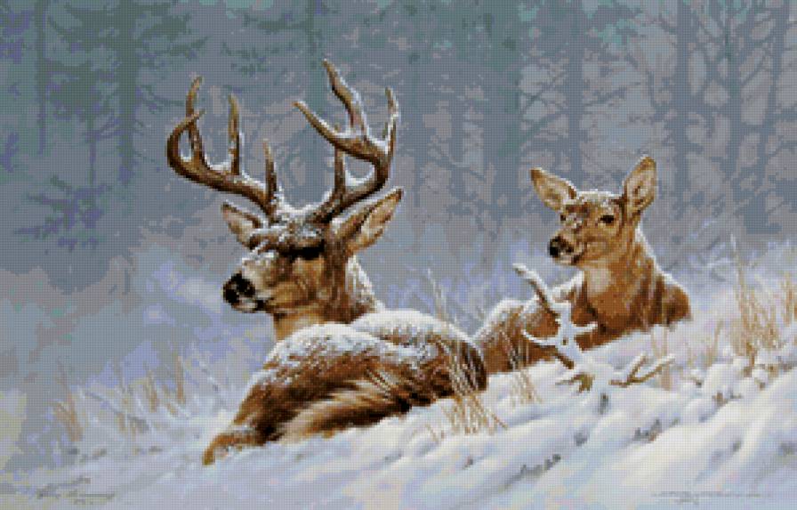 511 - животные - предпросмотр