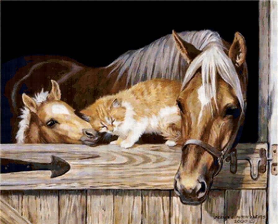 лошади - предпросмотр