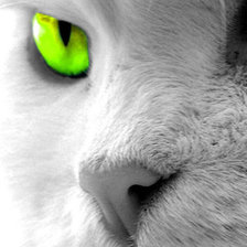 Схема вышивки «котик»