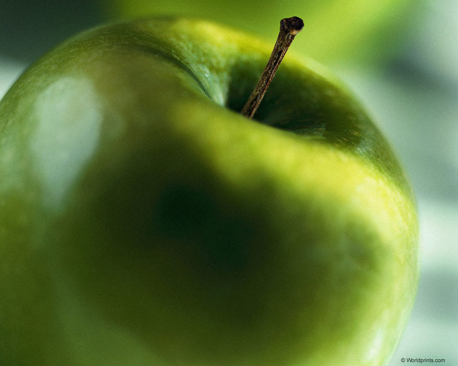 Яблоко - фрукты - оригинал