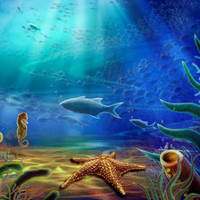 Морское дно