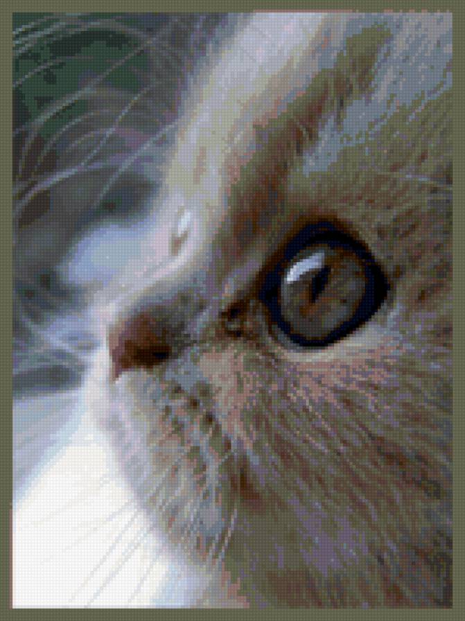 Котенок - животные, котенок, кошки - предпросмотр