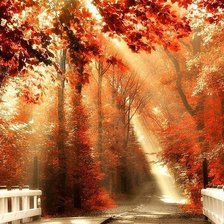 Схема вышивки «Осень)»