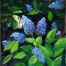 Схема вышивки «Бабочки и сирень»