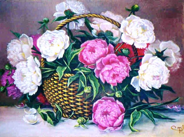 Пионы - нежные лепестки, весенние цветы, цветы, пионы, панно, пион - оригинал