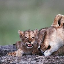 Схема вышивки «материнская нежность»