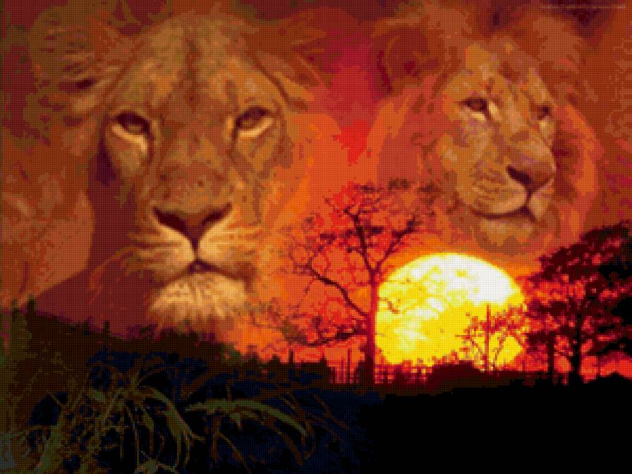 Лик царя - кошки, дикая природа, фауна - предпросмотр