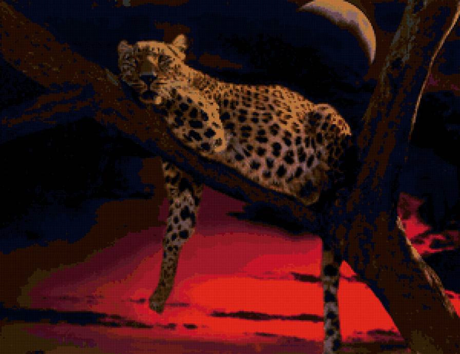 отдых - дикая природа, кошки, фауна - предпросмотр