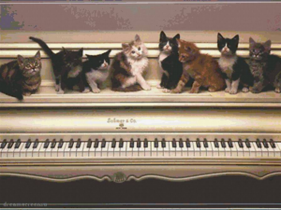 котята на рояле - кошки, животные - предпросмотр