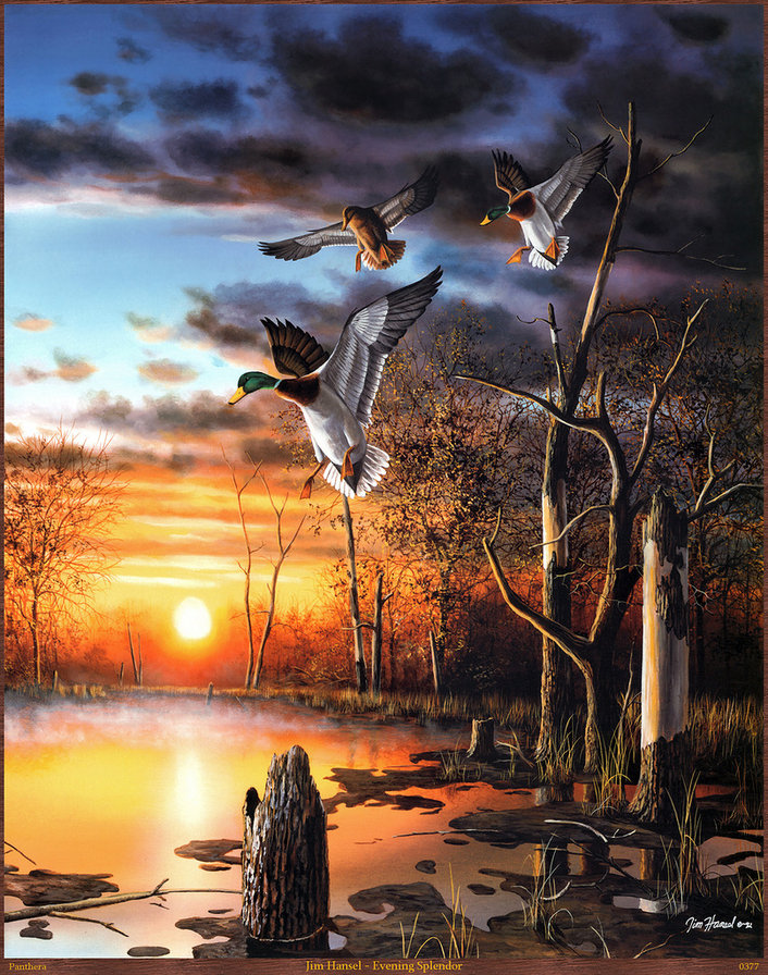природа - живопись, птицы, картина, уточки, пейзаж, утки, закат, лес - оригинал