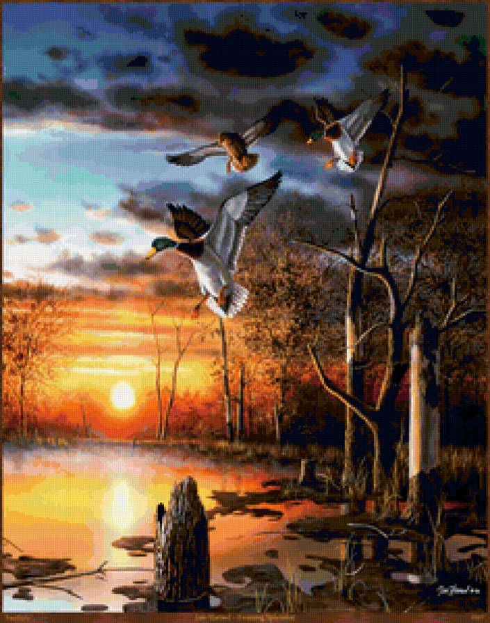 природа - пейзаж, лес, утки, уточки, картина, закат, живопись, птицы - предпросмотр