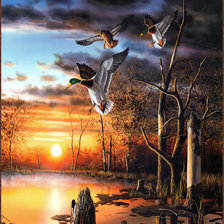 Схема вышивки «природа»