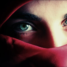 Схема вышивки «в никабе»