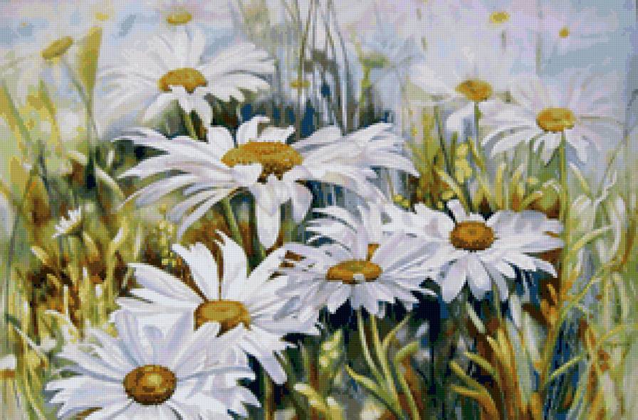 ромашки - ромашки - предпросмотр