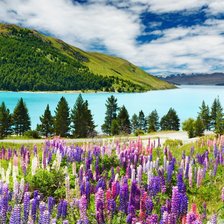 Схема вышивки «Горная река»