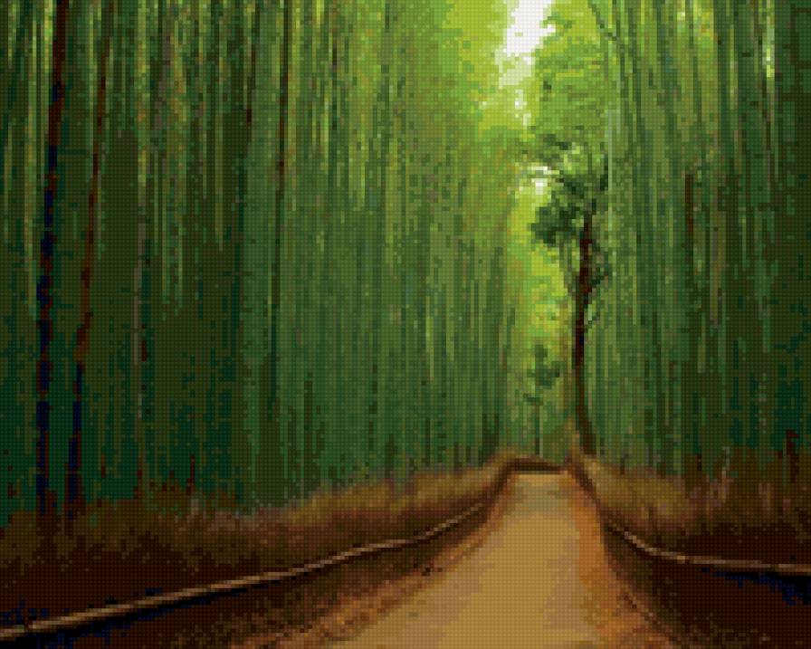 дорога в лесу - природа - предпросмотр