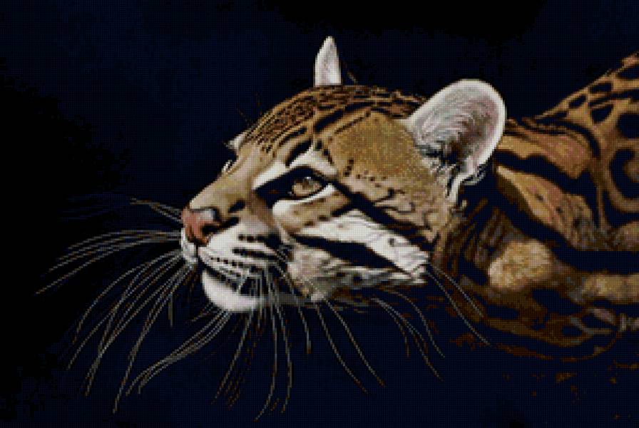 животные - хищники, картина, кошки - предпросмотр