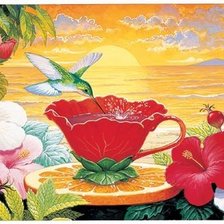 Схема вышивки «колибри»