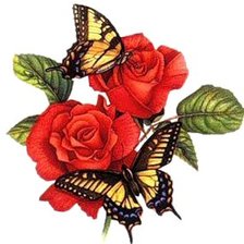 Схема вышивки «розы»