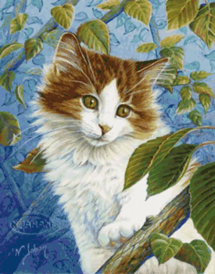 кошечка - кошки, животные, кошечка, кошечки, картина - предпросмотр