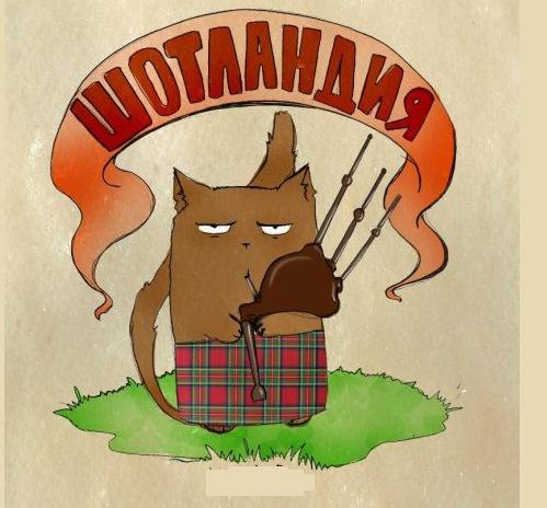 котейка - кот, животное, шотландия, волынка - оригинал