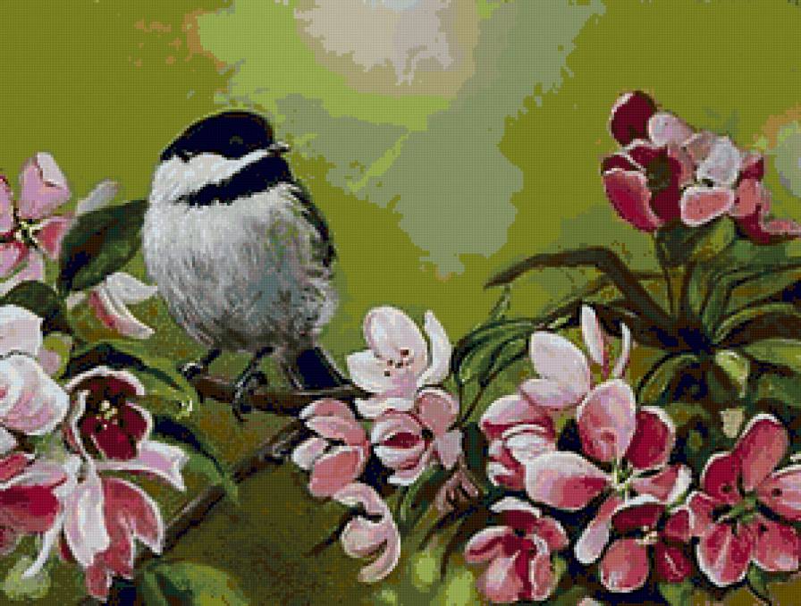 Синичка и яблоня - флора, яблоня, яблоневый цвет, птицы, синичка, цветы - предпросмотр