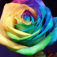 Схема вышивки «Необычная роза2»