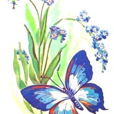 Схема вышивки «Бабочка и незабудки»