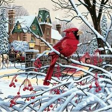 Схема вышивки «Кардиналы»