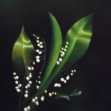 Схема вышивки «Ландыши»