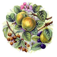 Схема вышивки «Панно"Фрукты"»