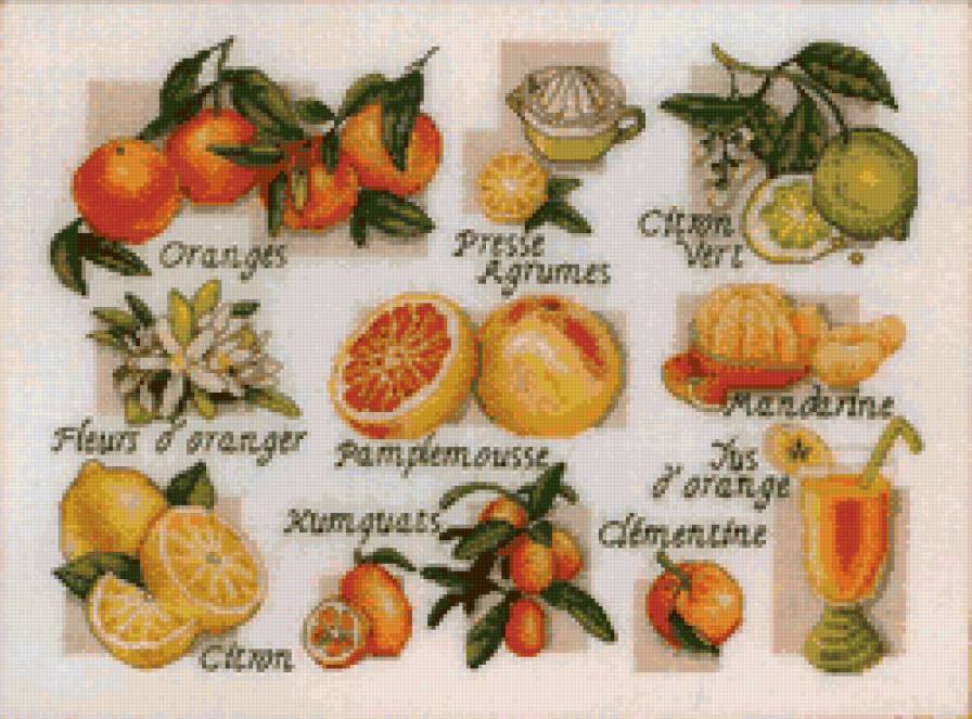 Панно"Фрукты" - живопись, фрукты - предпросмотр