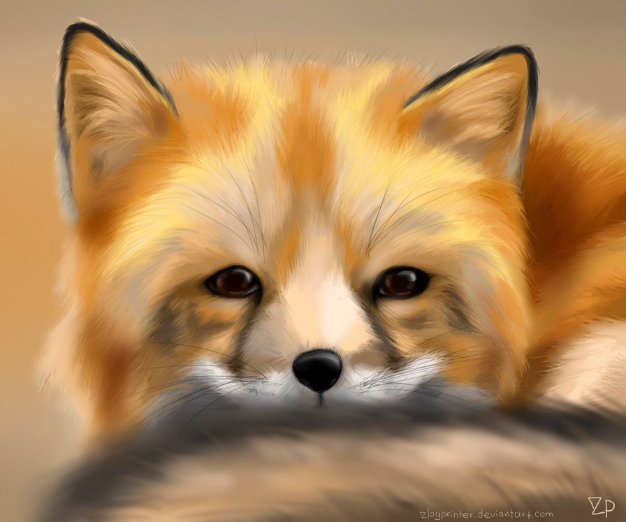 Лисенок - животные, лиса - оригинал