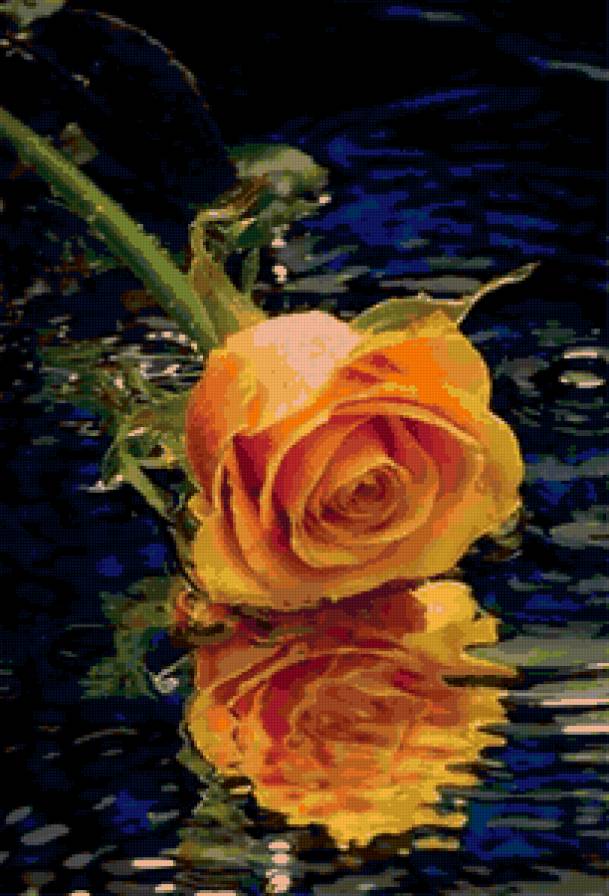 роза - бутон, цветы, розы - предпросмотр