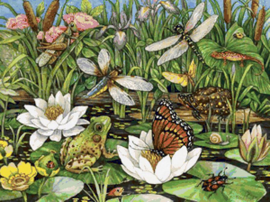 На пруду - лягушка, кувшинка, пруд, озеро, природа, стрекоза - предпросмотр