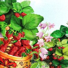 Схема вышивки «лесная малина»