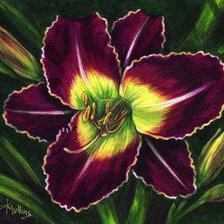 Схема вышивки «серия Цветы»