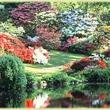 Схема вышивки «бережок»