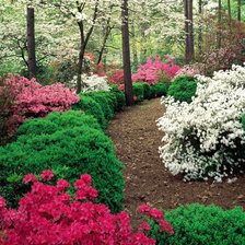 Схема вышивки «дорожка в лесу»