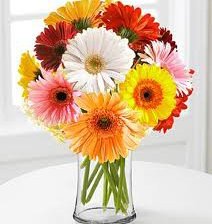 Схема вышивки «букет гербер»