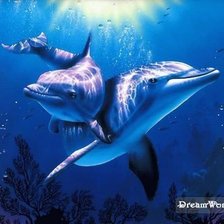 Схема вышивки «дельфины»