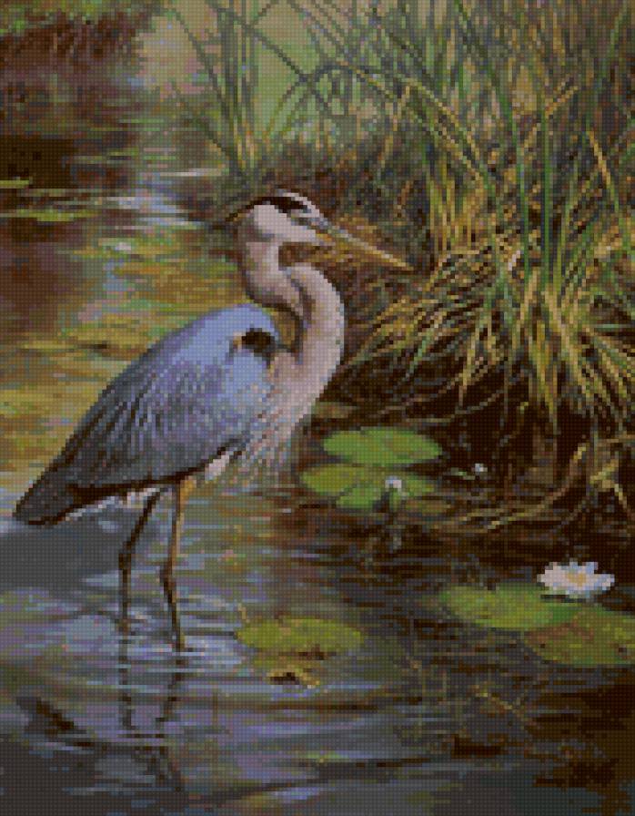 Цапля - природа, кувшинка, цапля, птица - предпросмотр