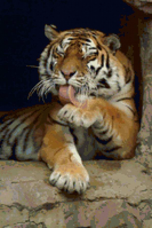 тигр в море - тигр - предпросмотр