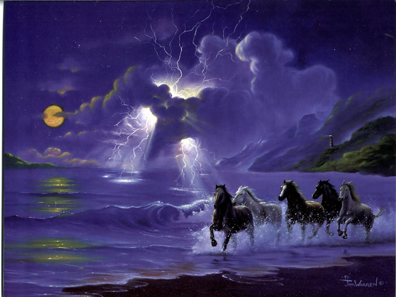 Джим Уоррен - животные, море, пейзаж, джим уоррен - оригинал