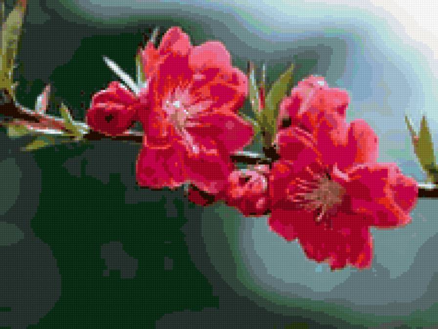 веточка - предпросмотр