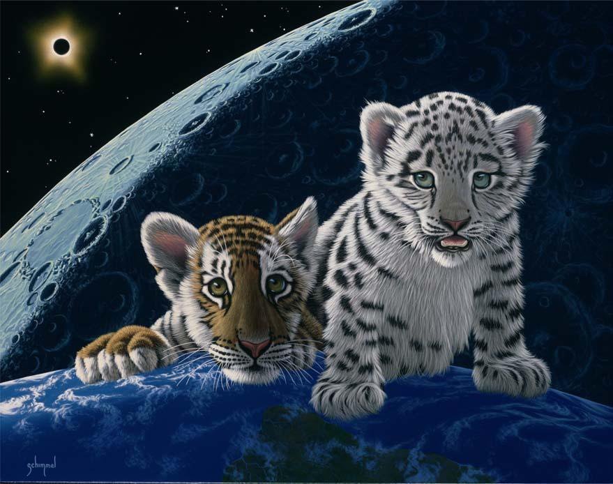 Одни в целом мире - кошка, животные, хищник, космос, барс, тигр - оригинал