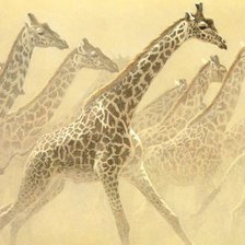 Схема вышивки «Жирафы»