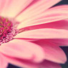 Схема вышивки «цветок»